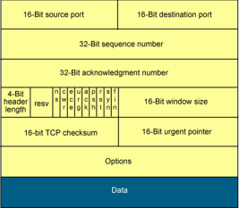 Giao thức TCP và UDP - Phân biệt sự khác nhau cơ bản - Ảnh 1. Giao thức TCP và UDP - Phân biệt sự khác nhau cơ bản - Ảnh 1.
