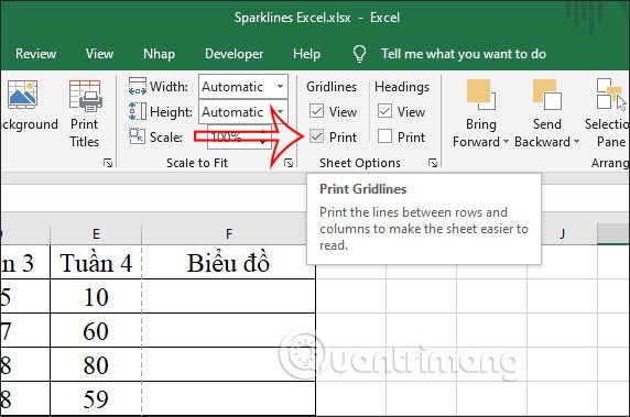 Hiện đường lưới khi in 