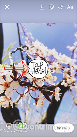 Hiện sticker