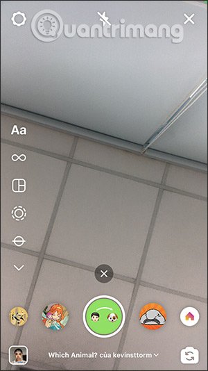 Hiệu ứng con vật