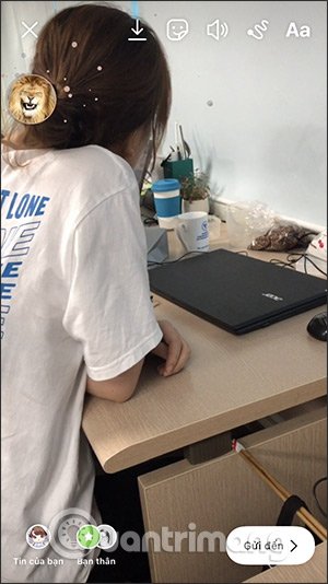 Bạn là con vật gì