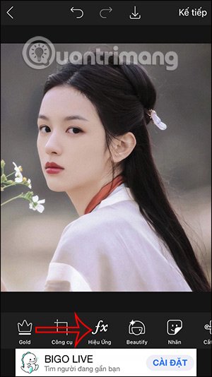 Hiệu ứng
