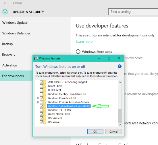 chọn Windows Subsystem for Linux (Beta)