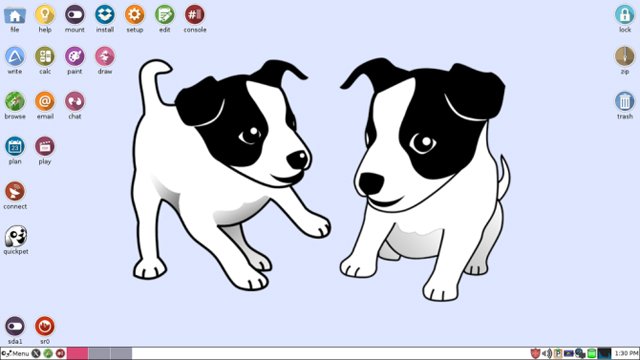 Bản phân phối Puppy Linux
