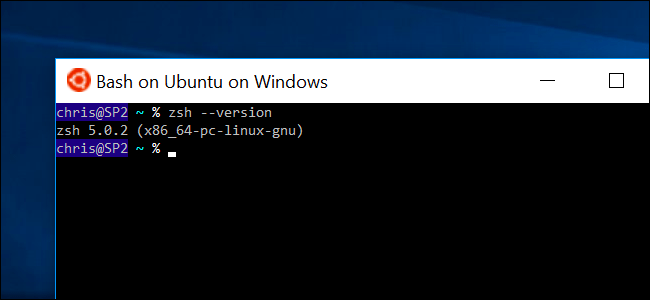 Bash Shell 