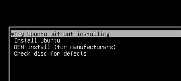Khi Linux khởi động, bạn sẽ được nhắc cài đặt Ubuntu, nhưng thay vào đó hãy kiểm tra Ubuntu