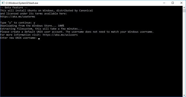 Bash trên Windows