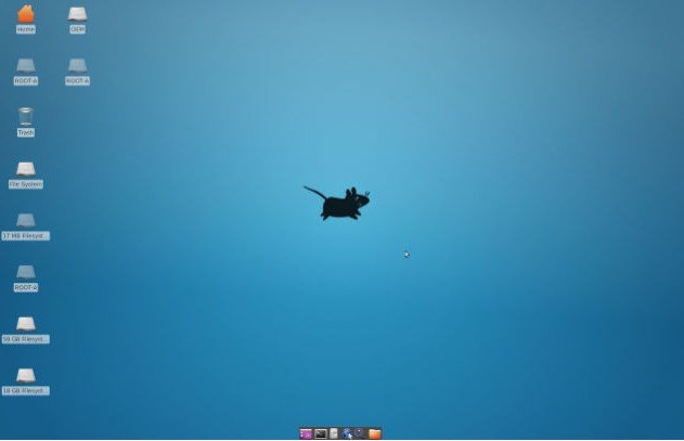 Màn hình Linux trong Chromebookomebook