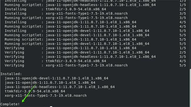 Bạn sẽ thấy trạng thái Complete được hiển thị cho cài đặt OpenJDK 11 trên Terminal