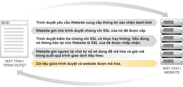 tls 2 tls 2