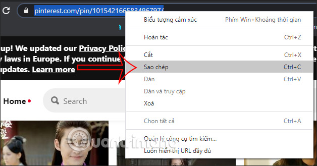 Sao chép URL Printest 