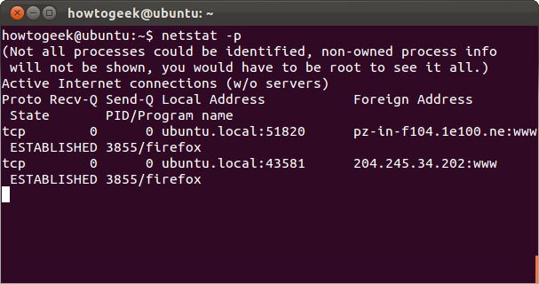 Lệnh netstat -p trên Linux