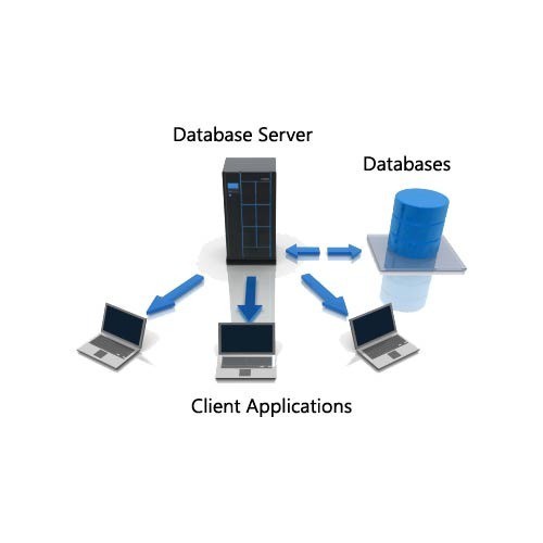 Database server là gì? Chức năng, hoạt động và lợi ích của Database server - Ảnh 1. Database server là gì? Chức năng, hoạt động và lợi ích của Database server - Ảnh 1.