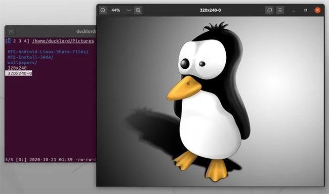 Mở một file hình ảnh bằng Image Viewer mặc định