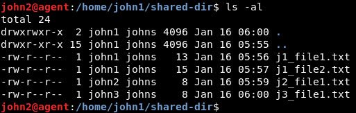 4 file trong “shared-dir”