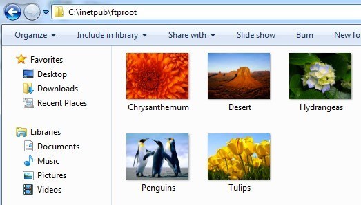 ftproot