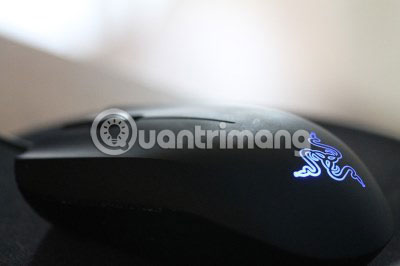 Bạn có nên chơi trên một server riêng không?