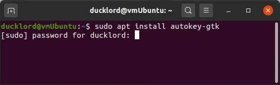 Terminal trên Linux sẽ không hiển thị gì khi bạn nhập mật khẩu