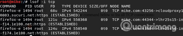 Sử dụng lệnh lsof -i tcp