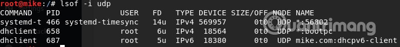Sử dụng lệnh nmap -sT -O localhost