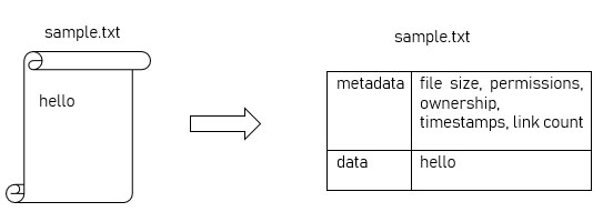 Siêu dữ liệu file