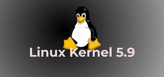 Linux Kernel 5.9