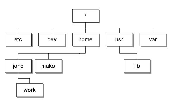 Cấu trúc file