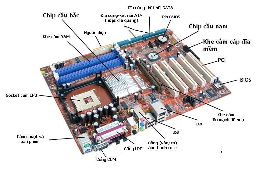 mainboard-la-gi 2 mainboard-la-gi 2