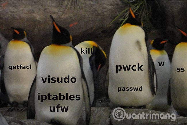 Lệnh bảo mật Linux