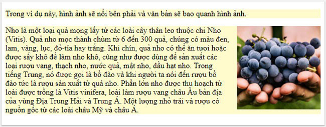Thuộc tính Float và Clear trong CSS - Ảnh 1. Thuộc tính Float và Clear trong CSS - Ảnh 1.