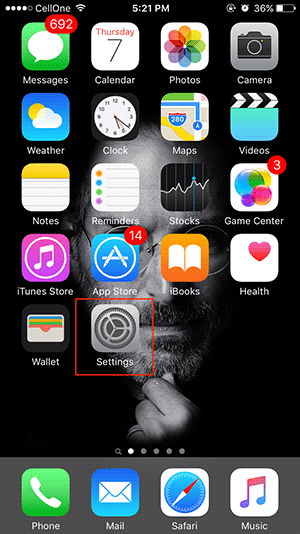 app Settings 