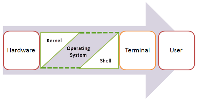 Shell là gì? 4 loại Shell phổ biến nhất hiện nay - Ảnh 1. Shell là gì? 4 loại Shell phổ biến nhất hiện nay - Ảnh 1.