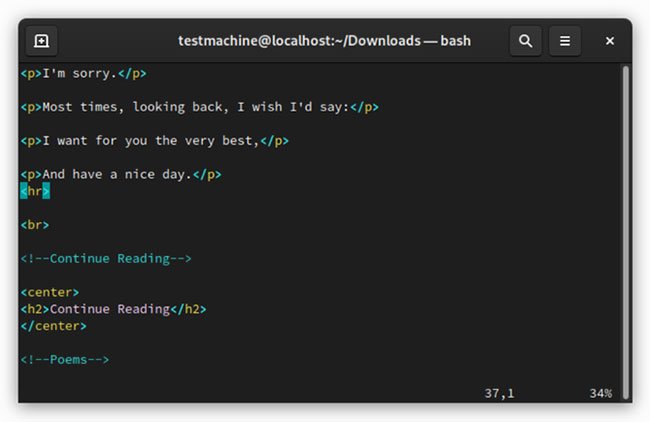 Vim