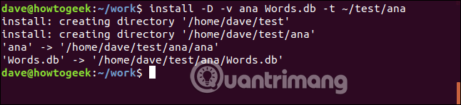 Sao chép hai file vào thư mục ~/test/ana