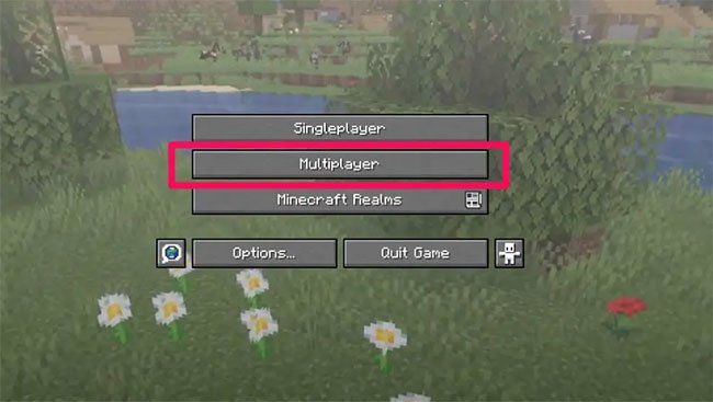 Nhấp vào Play > Multiplayer