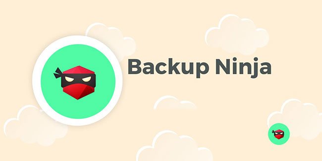 Backup Ninja