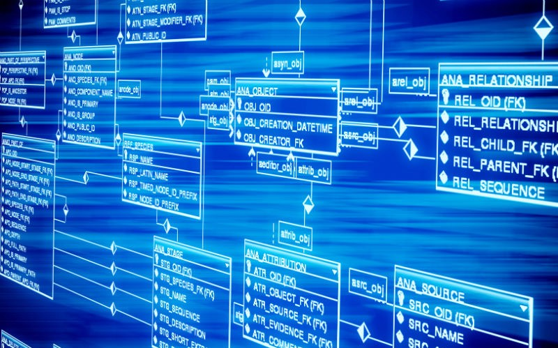 database-la-gi 2 database-la-gi 2