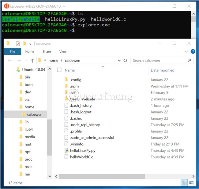 Bash shell