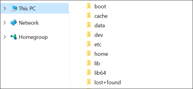 Ubuntu Bash Shell