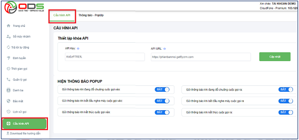 Giao diện cấu hình API 
