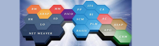 SAP là gì? Tổng quan về nhà cung cấp phần mềm Doanh nghiệp lớn nhất thế giới - Ảnh 3. SAP là gì? Tổng quan về nhà cung cấp phần mềm Doanh nghiệp lớn nhất thế giới - Ảnh 3.