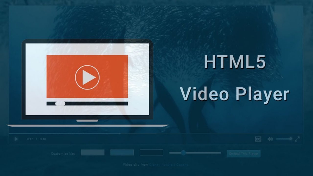 Cách đăng video lên website bằng công cụ HTML5 Video Player
