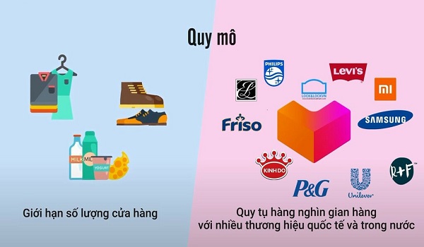 Sự khác biệt giữa khái niệm MT và TT là như thế nào