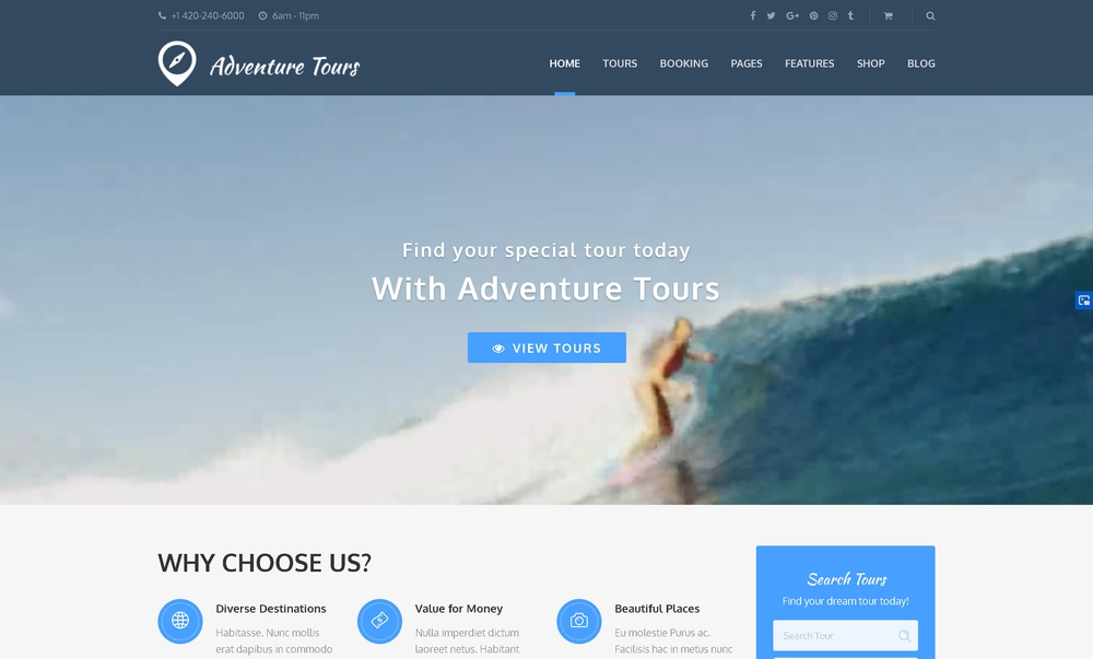 Theme wordpress du lịch 