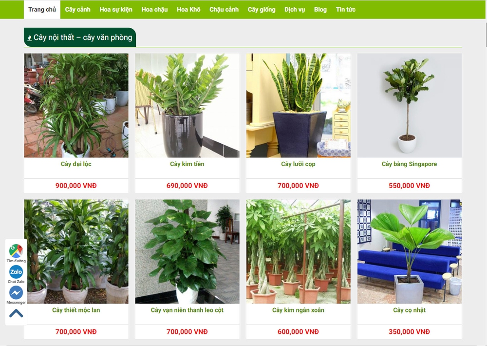 Cửa hàng bán cây cảnh có cần thiết kế website hay không? 