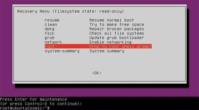  “Drop to root shell prompt” 