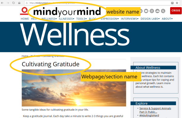 So sánh Web page vs Website 