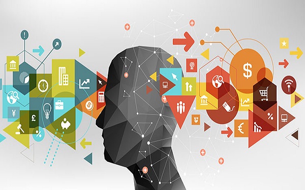 customer insight là gì