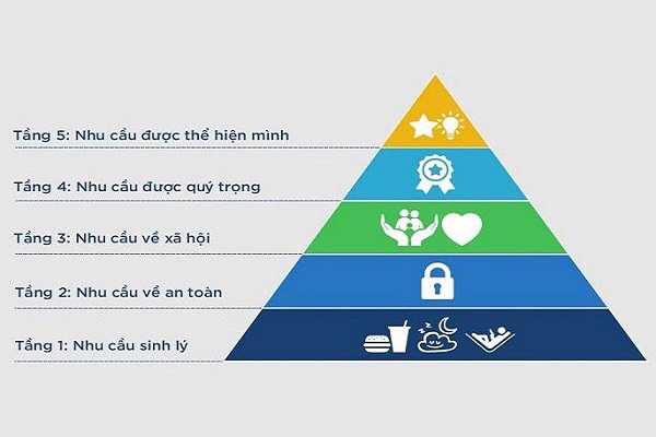 Các cấp độ của tháp nhu cầu Maslow 