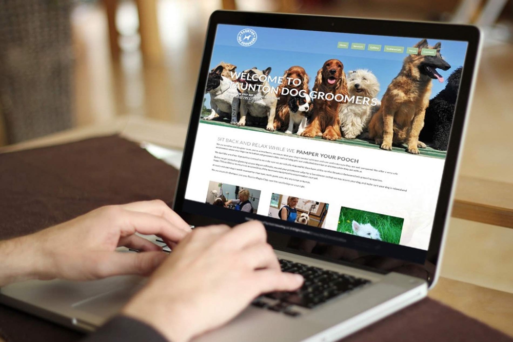 thiết kế website tại Quảng Ninh